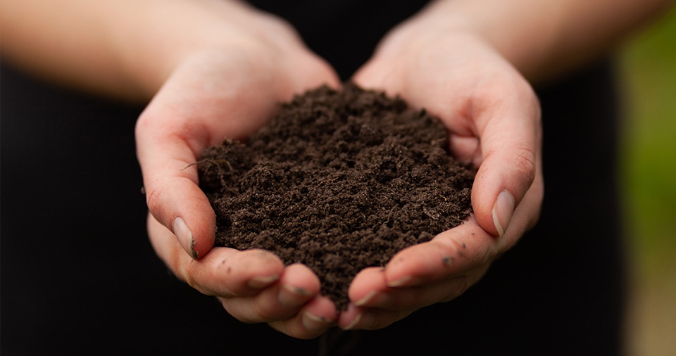 栽培方法のこだわり