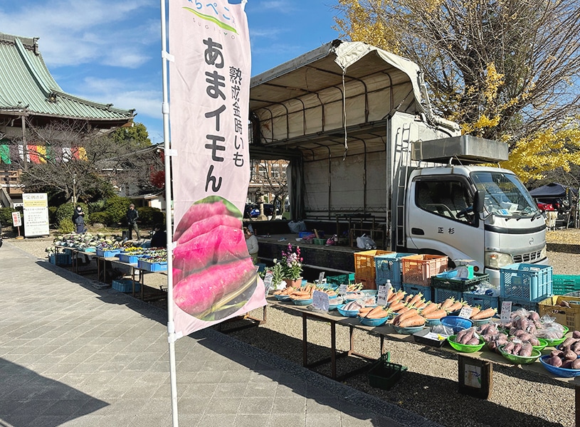最新情報更新中