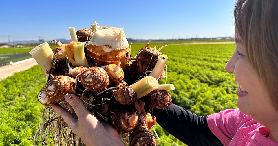 安心・安全・高品質の野菜